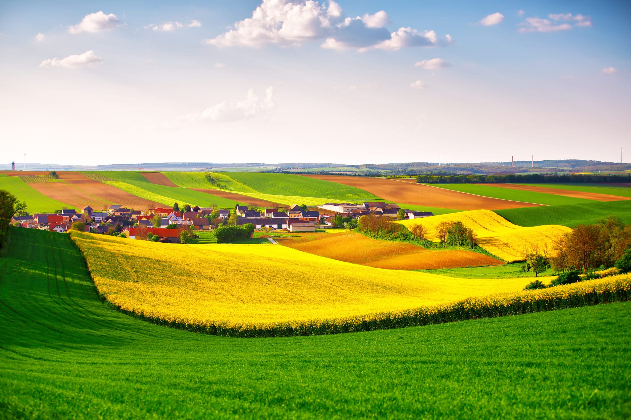 Champs de printemps verts et jaunes